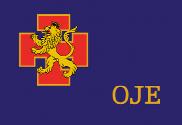 Bandera de OJE, versión banderín
