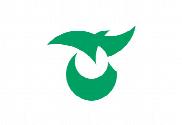 Bandera de Saku (Nagano)