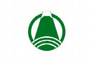 Bandera de Fuji (Shizuoka)