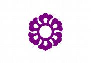 Bandera de Fujieda