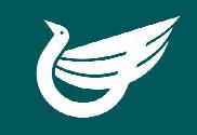 Bandera de Itami (Hyogo)