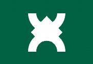 Bandera de Ikoma