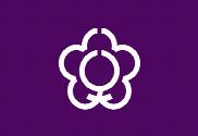 Bandera de Tenri (Nara)