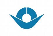 Bandera de Hashimoto