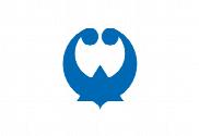 Bandera de Shingu