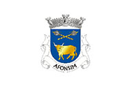 Bandera de Afonsim