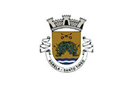 Bandera de Agrela (Santo Tirso)