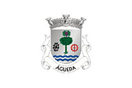 Bandera de Águeda (freguesia)