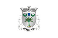 Bandera de Albernoa