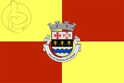 Bandera de Ferreira do Zêzere