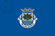 Bandera de Golegã