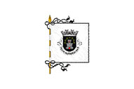 Bandera de Alfândega da Fé (freguesia)