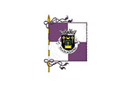 Bandera de Aljustrel (freguesia)
