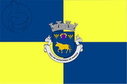 Bandera de Salvaterra de Magos