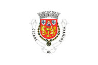 Bandera de Almalaguês