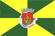 Bandera de Torres Novas