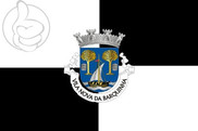 Bandera de Vila Nova da Barquinha