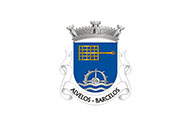 Bandera de Alvelos (Barcelos)