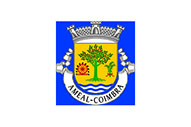 Bandera de Ameal