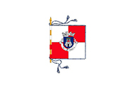 Bandera de Angeja