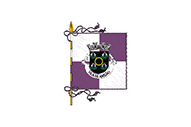 Bandera de Ansião (freguesia)