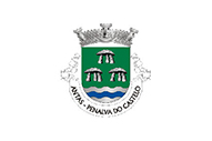 Bandera de Antas (Penalva do Castelo)