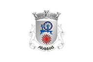 Bandera de Aranhas