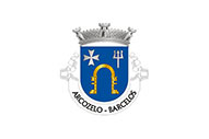 Bandera de Arcozelo (Barcelos)