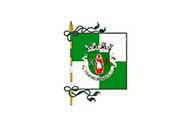 Bandera de Argoncilhe