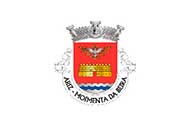 Bandera de Ariz (Moimenta da Beira)