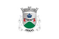 Bandera de Arnas (Sernancelhe)