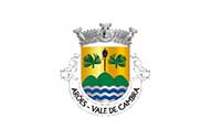Bandera de Arões (Vale de Cambra)