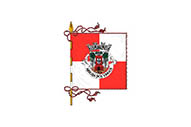 Bandera de Arranhó