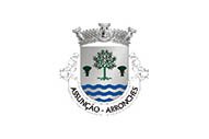 Bandera de Assunção (Arronches)