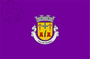 Bandera de Palmela
