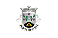 Bandera de Baguim do Monte