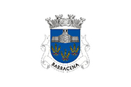 Bandera de Barbacena (Elvas)