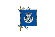 Bandera de Barcarena