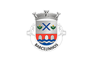 Bandera de Barcelinhos