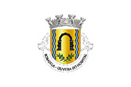 Bandera de Bobadela (Oliveira do Hospital)