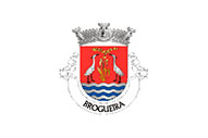 Bandera de Brogueira