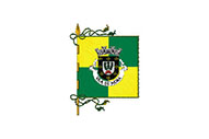 Bandera de Brotas