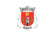 Bandera de Burgo (Arouca)
