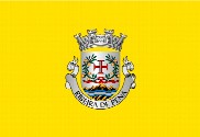 Bandera de Ribeira de Pena