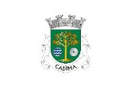 Bandera de Cadima