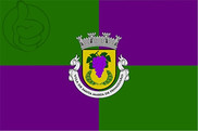 Bandera de Santa Marta de Penaguião
