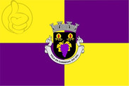 Bandera de Carregal do Sal