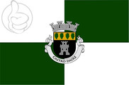 Bandera de Castro Daire
