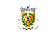 Bandera de Canaviais
