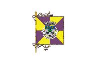 Bandera de Cantanhede (freguesia)